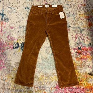 Brown Bootcut Corduroy pants